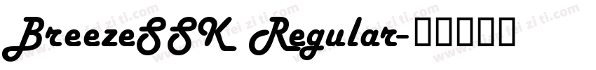 BreezeSSK Regular字体转换